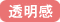 透明感カラコン
